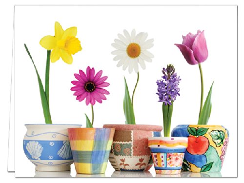 Note Card Cafe All Occasion Greeting Cards with White Envelopes | 36 Pack | Bloom Where You're Planted Design | Blank Inside, Glossy Finish | for Greeting Cards, Occasions, Birthdays
