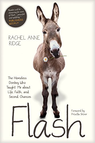 Flash: The Homeless Donkey Who Taught Me about Life, Faith, and Second Chances (Flash the Donkey) (English Edition)