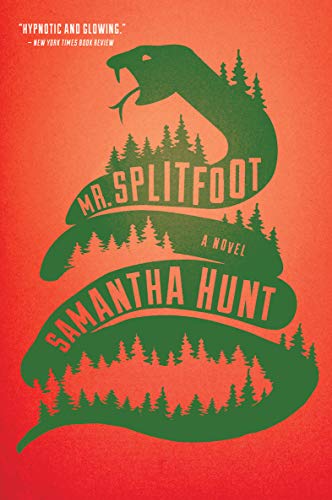 Mr. Splitfoot: A Novel (English Edition)