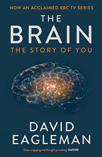 The Brain: The Story of You (English Edition)