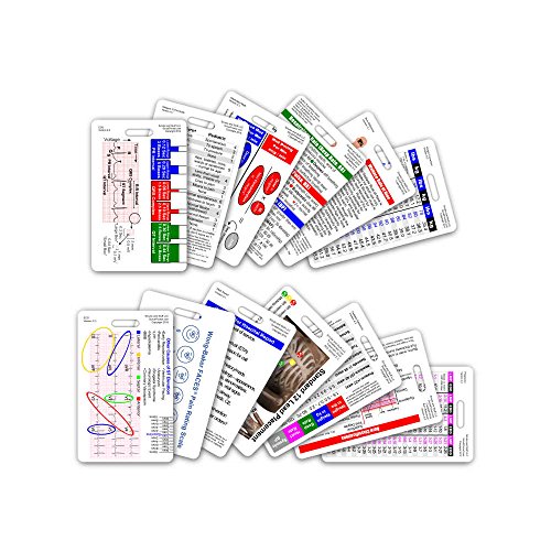 Scrubs and Stuff LLC Complete EMS Vertical Badge Card Set - 13 Cards