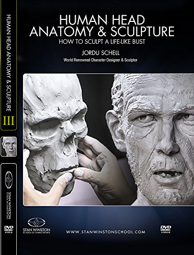 Human Head Anatomy & Sculpture