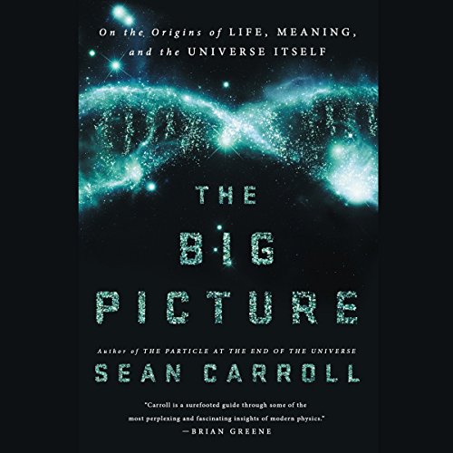 The Big Picture: On the Origins of Life, Meaning, and the Universe Itself