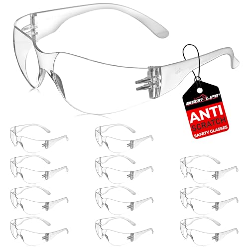 BISON LIFE Safety Glasses, One Size, Clear Protective Polycarbonate Lens, 12 per Box (1 box)