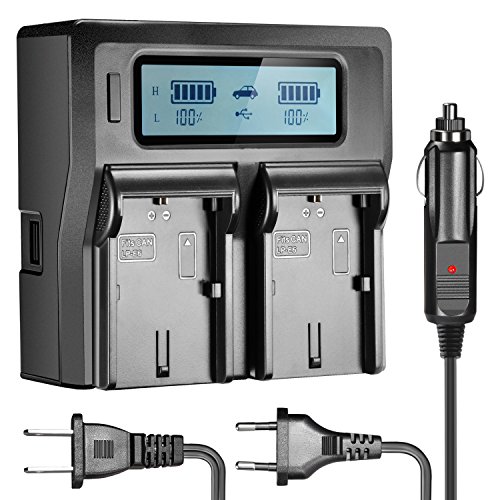 Neewer Dual LCD Battery Charger for Canon LP-E6 Batteries Compatible with Canon 7D 6D 5D II III 5Ds R 70D 60D 6D a 80D(US Plug + EU Plug + Car Charger Adapter)