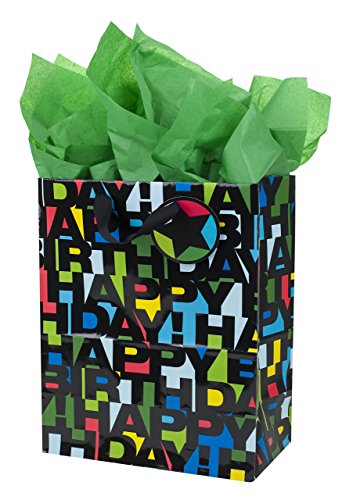 Hallmark 13" Large Birthday Gift Bag with Tissue Paper (Happy Birthday in Black Letters) for Kids, Adults, Men, Boys, Husband, Son, Brother and More