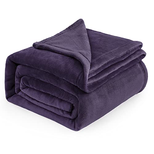 Bedsure Fleece Blanket Queen Blanket Purple - Bed Blanket Soft Lightweight Plush Fuzzy Cozy Luxury Microfiber, 90x90 inches
