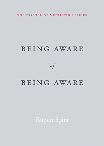 Being Aware of Being Aware (The Essence of Meditation Series) (English Edition)