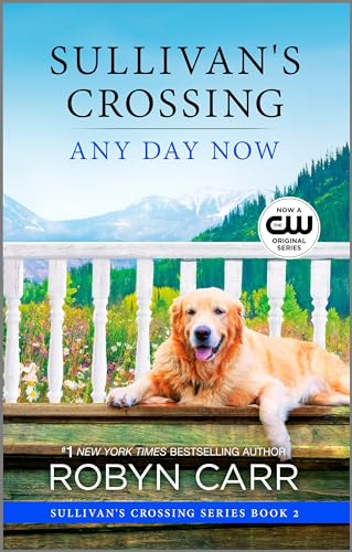 Any Day Now: A Novel (Sullivan's Crossing Book 2)
