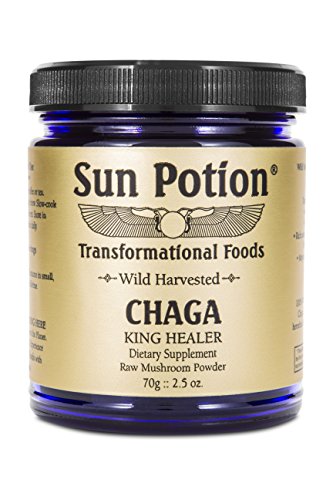 Chaga Mushroom Powder 70g Jar by Sun Potion - Wild Harvested, Organic, Raw Extract Superfood - Antioxidant Rich, Natural Immune Support, Detoxify The Body