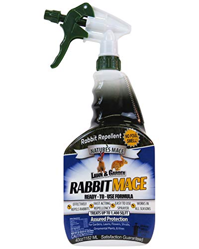 Nature’s Mace Rabbit MACE, Rabbit Repellent Spray, Covers 1,400 Sq. Ft., Rabbit Deterrent, Keep Rabbits Out of Garden, Lawn, Rabbit Repellent Outdoor, Peppermint Spray, Use Around Pets, People, Plants
