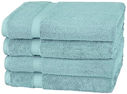 Pinzon Organic Cotton Bath Towel, Set of 4, Spa Blue