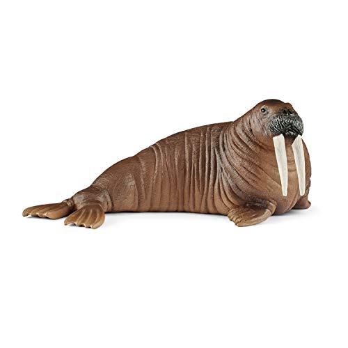 Schleich Wild Life, Animal Figurine, Animal Toys for Boys and Girls 3-8 Years Old, Walrus