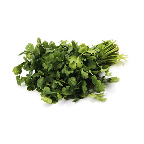 Herb Cilantro Conventional, 1 Bunch