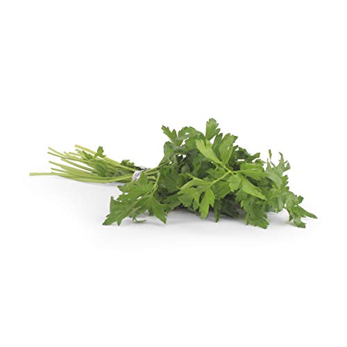 Herb Parsley Italian Conventional, 1 Bunch
