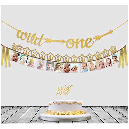 Baby's 1st Birthday Decorations- 12 Month Photo Banners,Wild One Birthday Banners,Wild One Cupcake Topper,the Wild One Party Supplies (wild one) (Gold)