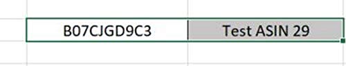 Test ASIN 29
