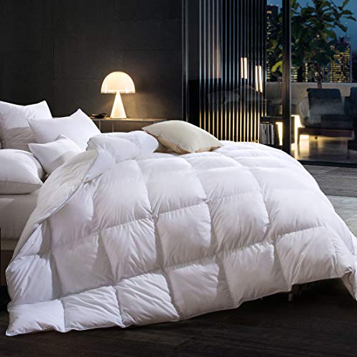 Three Geese Goose Down Comforter Queen Size Duvet Insert All Seasons Down Comforter,100% Cotton Fabric Cover Filled 55oz High Fill Power,Hypoallergenic&Durable