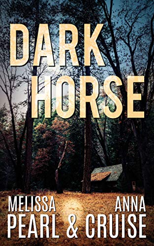 Dark Horse: Small-Town Romantic Suspense (Aspen Falls Novel Book 3)
