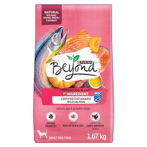 Beyond Superfood Blend Natural Dry Dog Food, Wild Caught Salmon, Egg & Pumpkin - 1.67 kg Bag