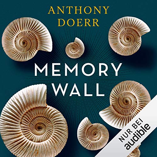 Memory Wall
