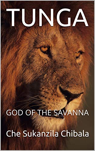 TUNGA: GOD OF THE SAVANNA (1) (English Edition)