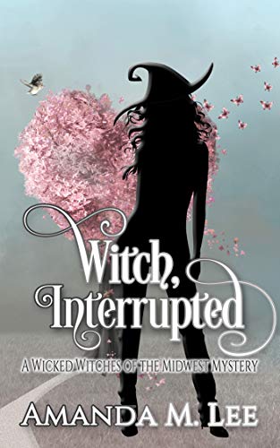 Witch, Interrupted (Wicked Witches of the Midwest Book 13)