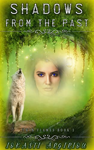 Shadows from the Past (Twin Flames Book 1) (English Edition)