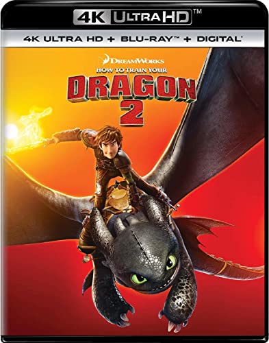 How to Train Your Dragon 2 [Blu-ray]