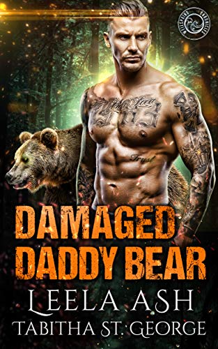 Damaged Daddy Bear (Shifters of the Aegis Book 1)