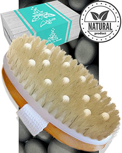 Cellulite-Massagegerät für trockene Bürste, für das Bad und Spa mit natürlichen Wildschweinborsten, entfernt abgestorbene Haut und Toxine