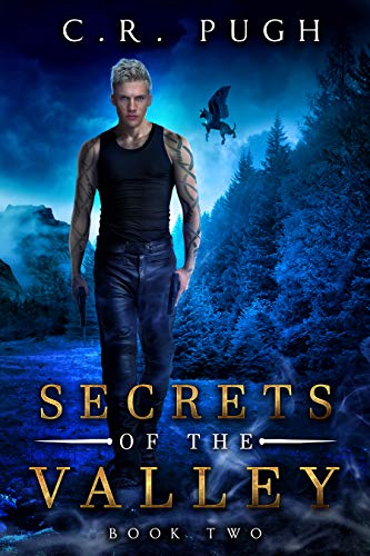 Secrets of the Valley (Old Sequoia Valley Book 2)