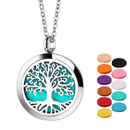 Home-Cloud Essential Oil Necklace Diffuser Necklace Stainless Steel Not Fade Gift Set for Women and Girls