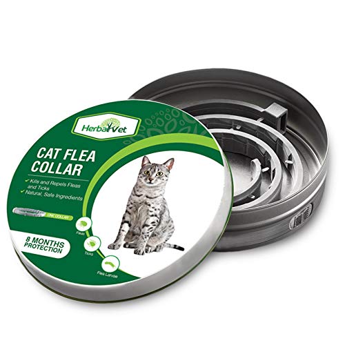 HerbalVet Cat Flea Collar for Flea and Tick Treatment and Prevention Version