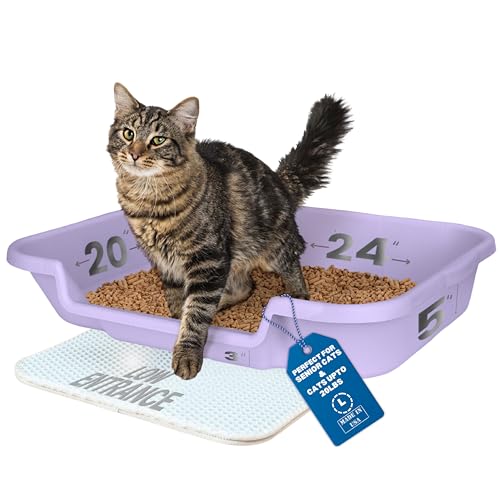 Kitty Go Here Senior Katzentoilette für Katzen, die mit einer traditionellen Katzentoilette nicht zurecht kommen können.Storybook Lavendelfarbe siehe Foto von Maßen.Kein Deckel erhältlich USA