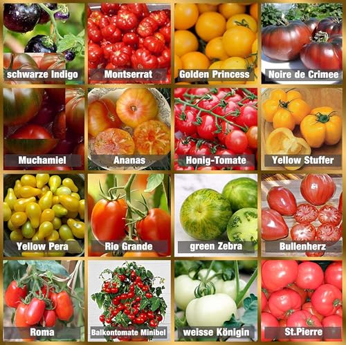 Set de graines de tomates PRADEMIR – 16 variétés de tomates - Graines 100% naturelles du Portugal - Variétés rares et anciennes à haut taux de germination.