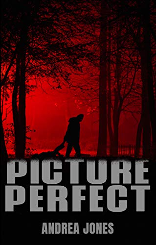 Picture Perfect (English Edition)