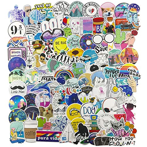Stickers for Water Bottle, Big 100-Pack Cute Vinyl Trendy Sticker for Teen Girl, Fashion Decal for Laptop Phone Travel Case Skateboard