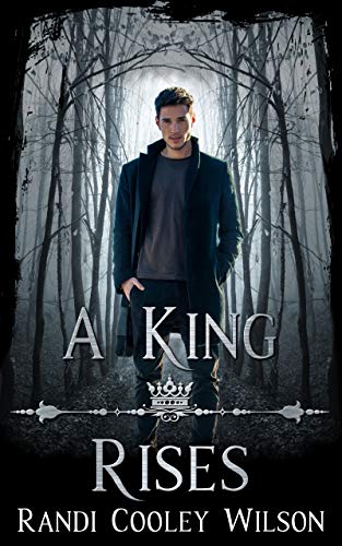 A King Rises Novella: The Royal Protector Academy Series