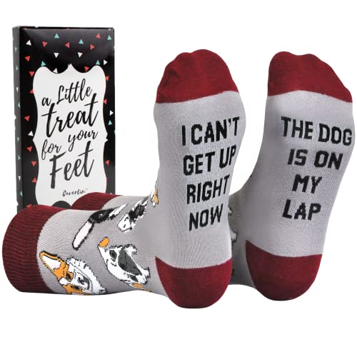 Cavertin Chaussettes fantaisie pour femme avec boîte cadeau, chien, taille unique