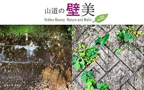 Hidden Beauty -Nature and Walls- (Japanese Edition)