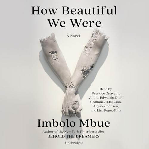 How Beautiful We Were: A Novel