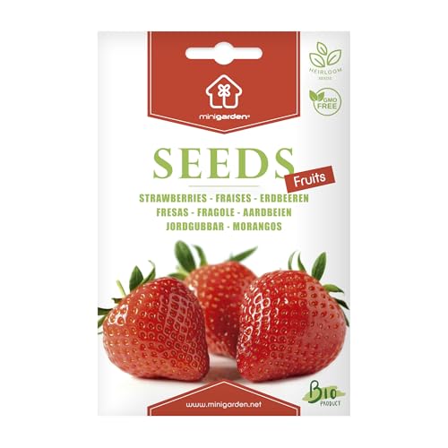 Organic Premium Strawberry Seeds by Minigarden – 100% Natural & Non-GMO, High Germination, Open-Pollinated & Reproducible – Ideal for Home Gardens & Farms – 300-340 Seeds