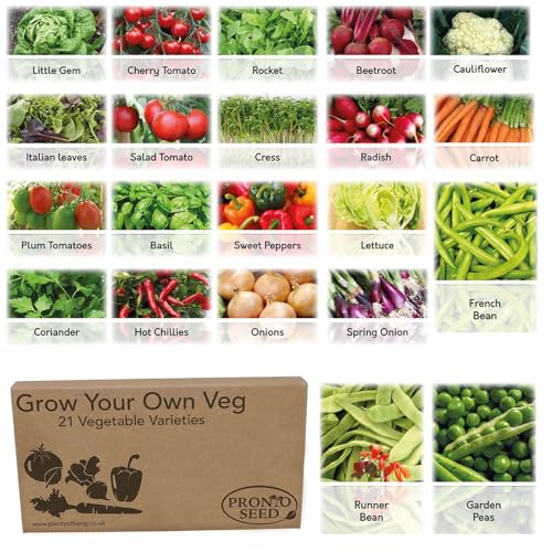 Pronto Seed Bumper Pack Grow Your Own Kit Vegetable & Herb Seed Collection - 21 Varieties with Salad Mix, Spicy Mix, Peas & Beans - 1700+ Seeds with Growing Guide - for Him and Her (Vegetable Pack)