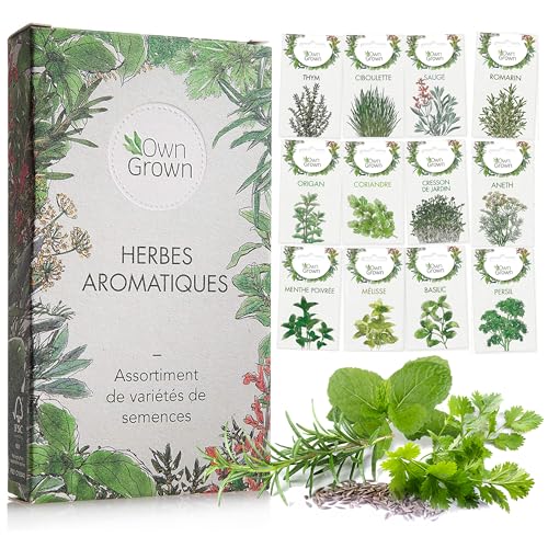 Kit de graines d‘Herbes aromatiques prêt à Pousser OwnGrown, 12 épices et aromates à Planter en Un kit Pratique, Naturelles pour Culture intérieure et extérieure
