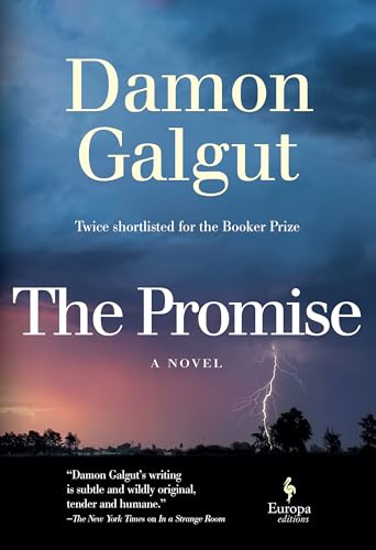 The Promise: A Novel