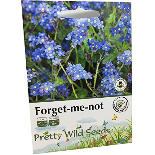 Forget Me Not Seeds Wild Flower Meadow Seeds Pictorial Packets