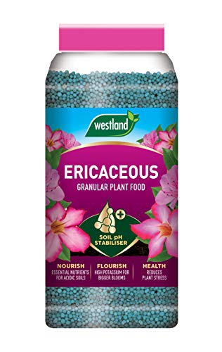 Westland Ericaceous Plant Food Granules Jar 900 g, Green