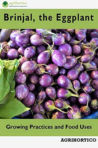 Brinjals, the Eggplant: Growing Practices and Food uses (English Edition)