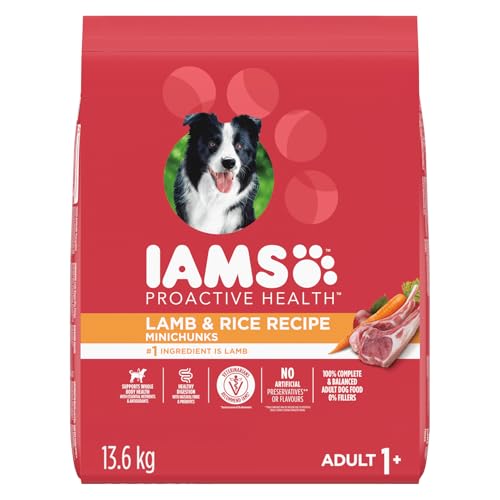 IAMS Proactive Health Minichunks Dry Dog Food – Crunchy Kibble For Adult Dogs – Lamb & Rice Recipe – 13.6KG (30LB) Bag